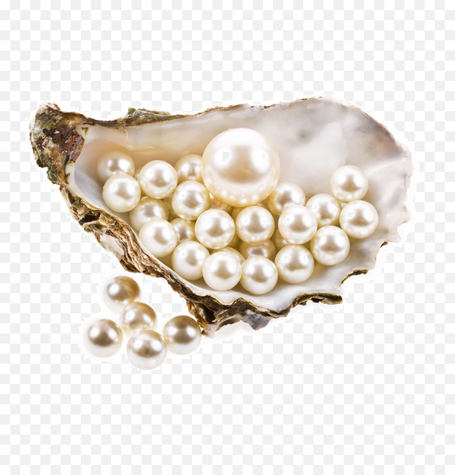 Png Pearl Transparent Background - Pearls Png,Pearl Transparent Background