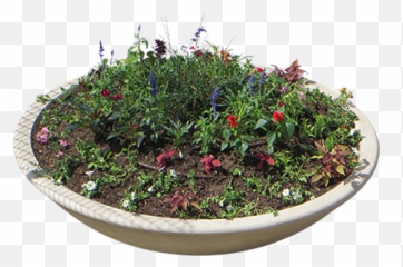 Concrete Flower Planter Overhead View - Houseplant Png,Planters Png