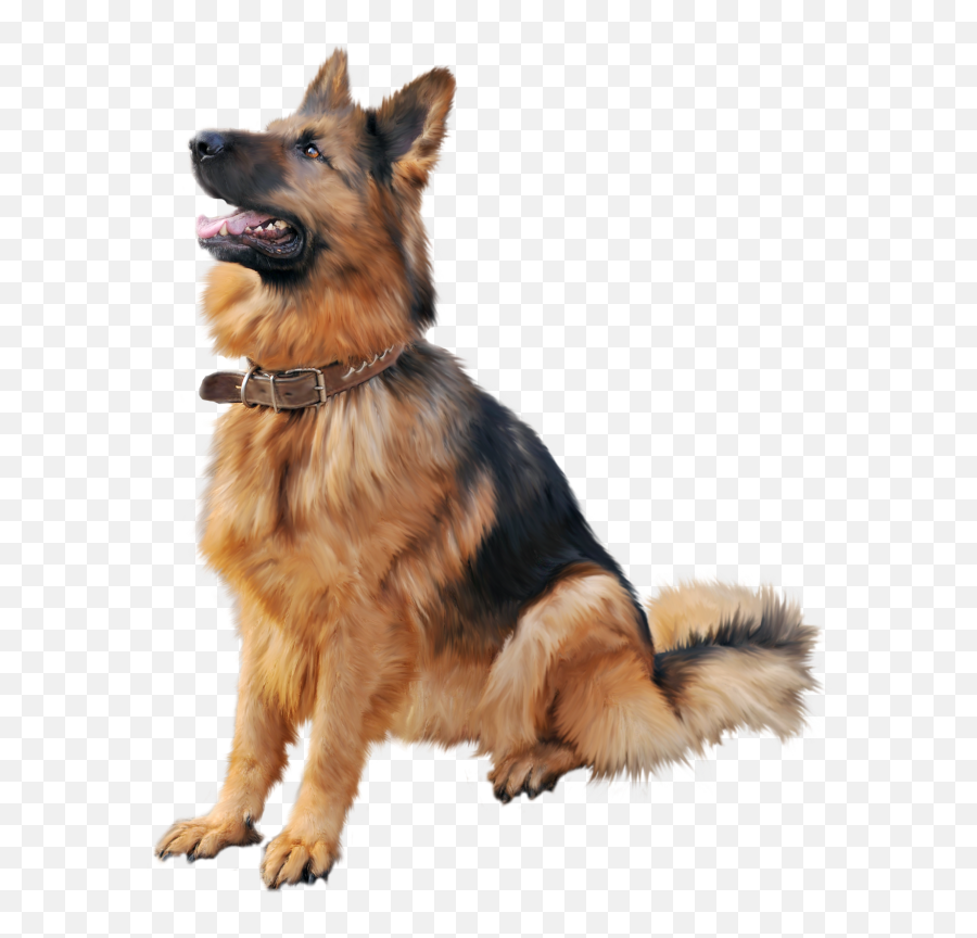 Dog Free Png Transparent Image And Clipart - German Shepherd Dog Png,Cute Dog Png