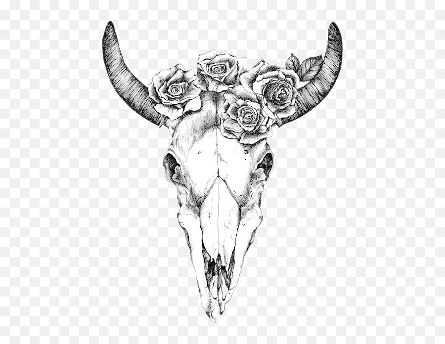 Texas Longhorn Drawing Human Skull Symbolism Bull - Skull Bull Skull With Roses  Tattoo Png,Cow Skull Png - free transparent png images 