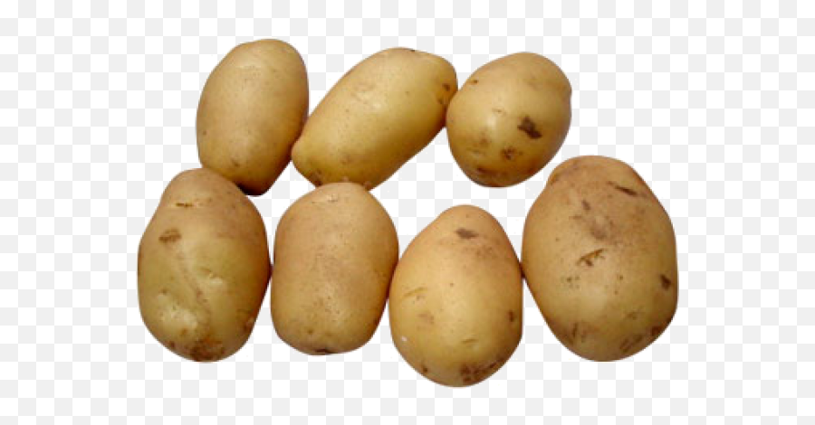 Potato Png Free Download 9 Images - Growing Potatoes In Small Spaces,Potato Png Transparent