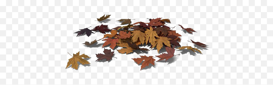 Leaves Download Transparent Png Image Arts - Pile Of Leaves Png,Leaves Transparent Png