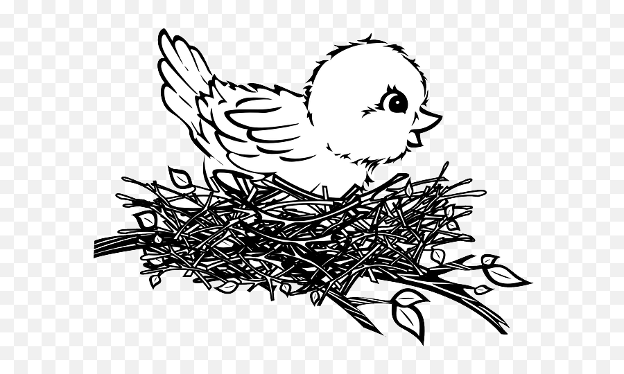 Free Photo Chick Nest Baby Bird - Max Pixel Birds Nest Easy Drawing Png,Baby Chick Png