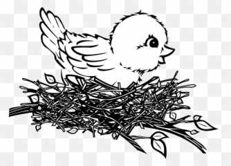 Free Photo Chick Nest Baby Bird - Max Pixel Birds Nest Easy Drawing Png,Baby Chick Png