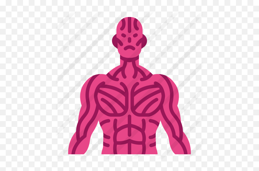Muscle - Muscles Flaticon Png,Muscles Icon