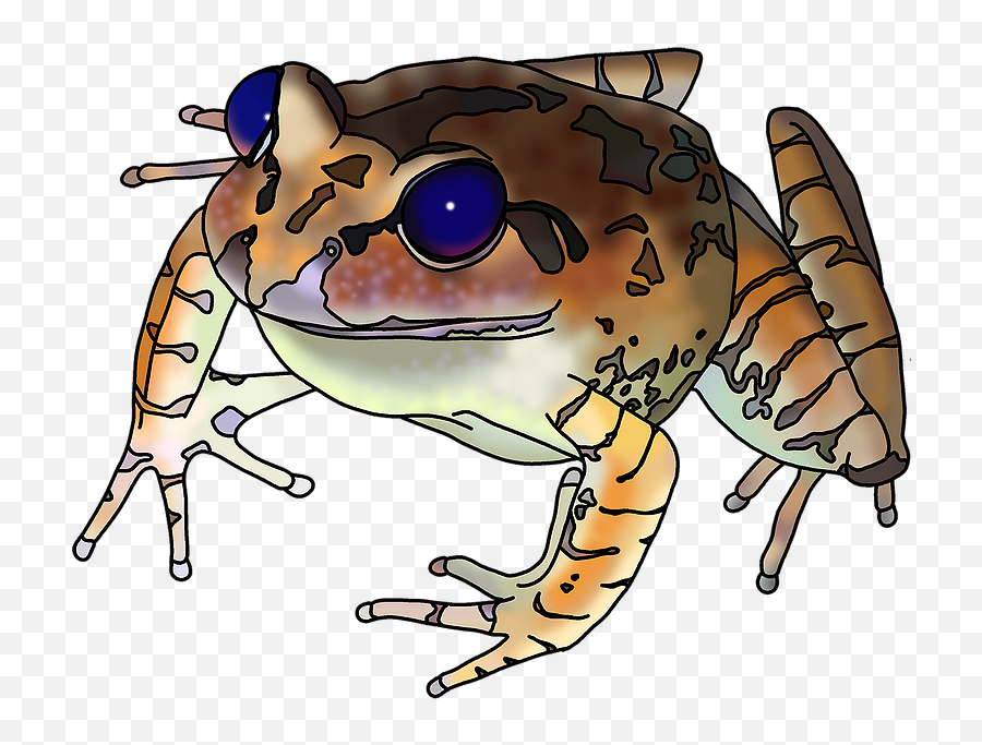 Research - Toads Png,Frog Icon Png