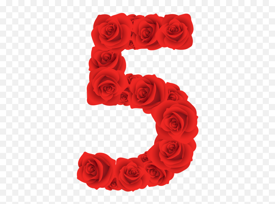 Red Roses Five Number Transparent Png - Five Red Roses,Red Rose Transparent