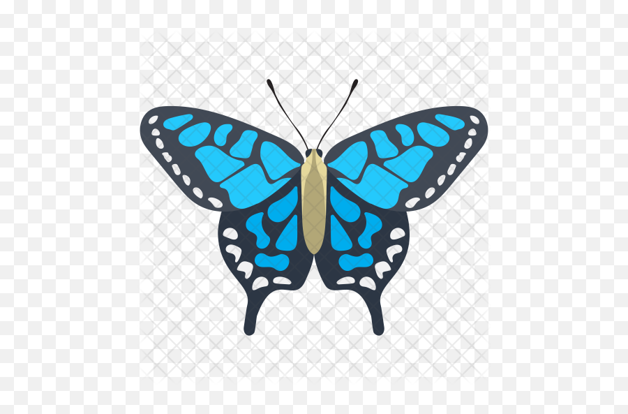 Adonis Blue Butterfly Icon - Butterfly Png,Blue Butterflies Png