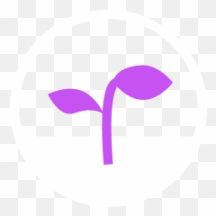 Ukhanyo Foundation - A Second Chance to Succeed Dot png