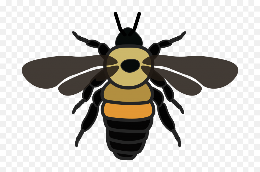 How To Identify Bees U2013 Wisconsin Pollinators Uwu2013madison - Two Spotted Bumble Bee Vs Eastern Bumblebee Png,Bee Icon