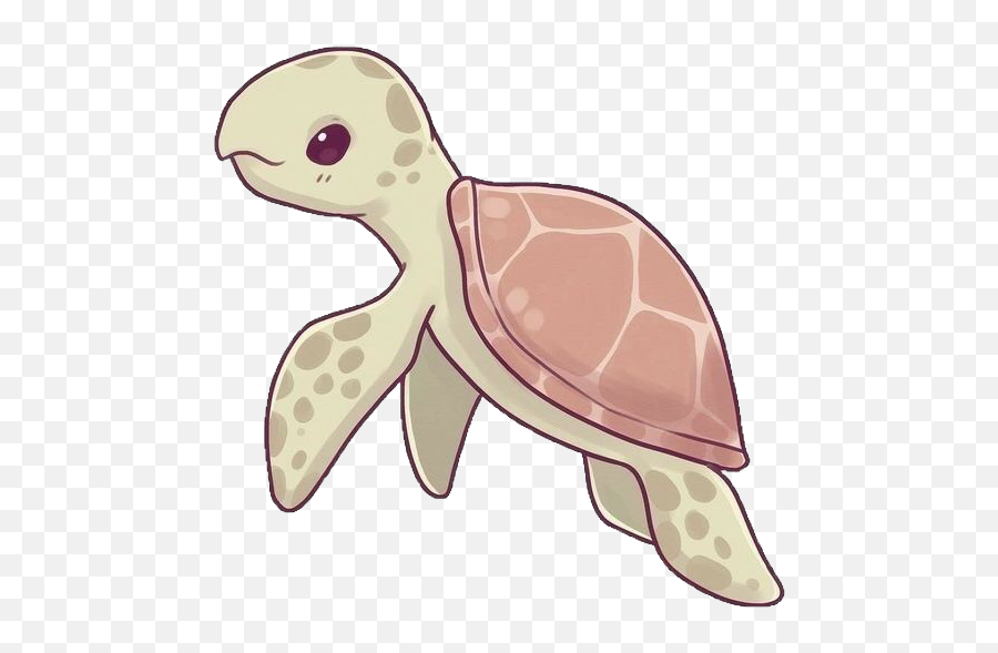 Kawaii Sea Turtle, digital illustration by me : r/AdorableArt