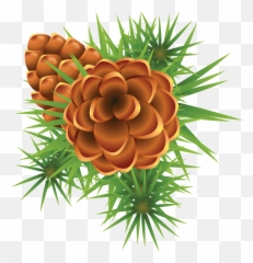 Fir Tree Png Transparent 3697 - Christmas Mistletoe,Orange Tree Png