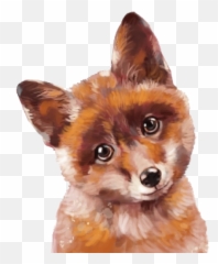 Baby Fox Png - Baby Fox Png,Fox Png