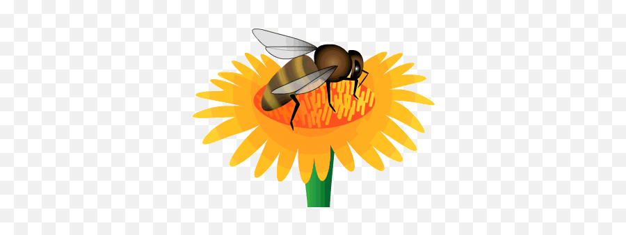 Cute Animated Honey Bee Gifs - Flower With Bee Gif Png,Alien Queen Icon Gif