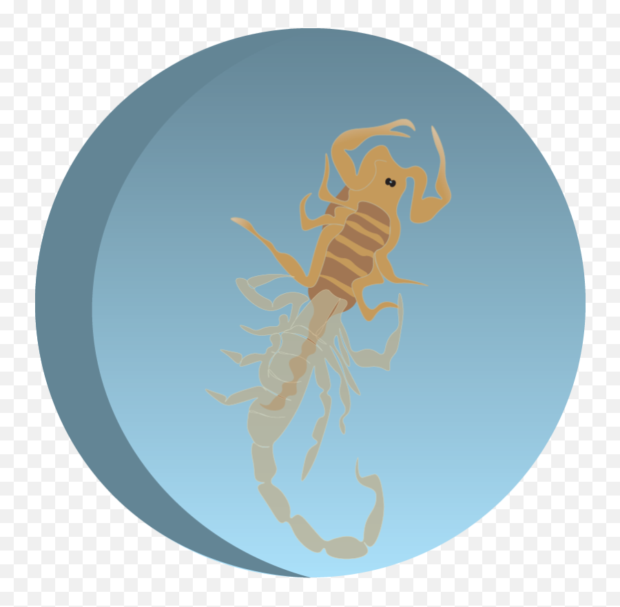 Updates U2013 Nonna Terra - Scorpion Png,Scorpions Icon