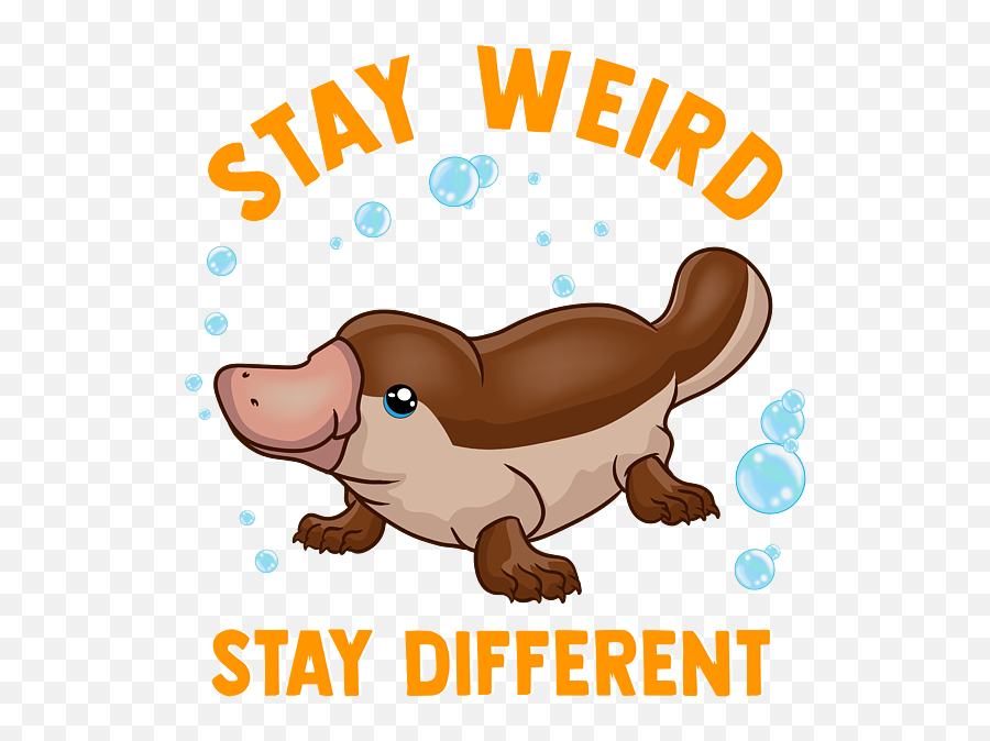 Funny Stay Weird Different Cute Platypus Face Mask For - Animal Figure Png,Platypus Icon