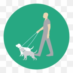 8 In 1 Multifunction Dog Leash - handsfree cotton eco png