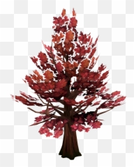 Maple Tree Runescape Wiki Fandom - Runescape 3 Locations png