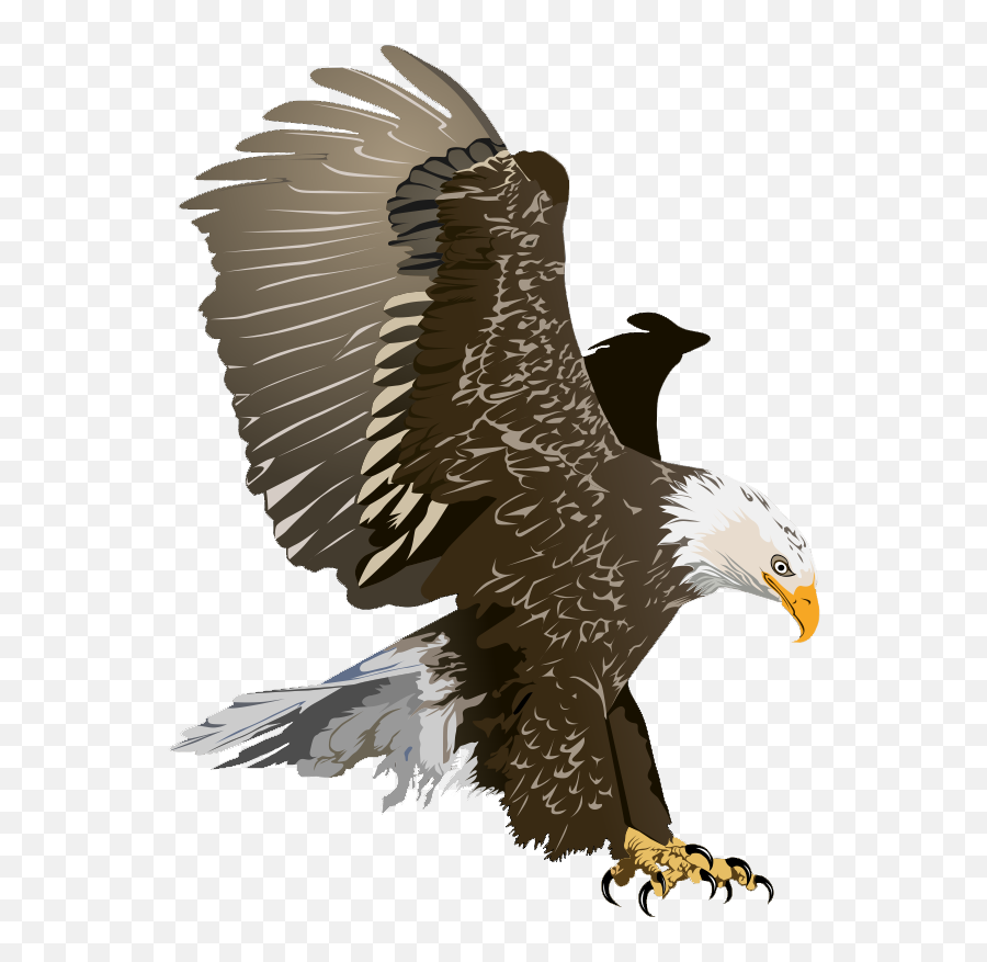 Bald Eagle Free Clipart Png Image With - Bald Eagle Png,Bald Eagle Transparent