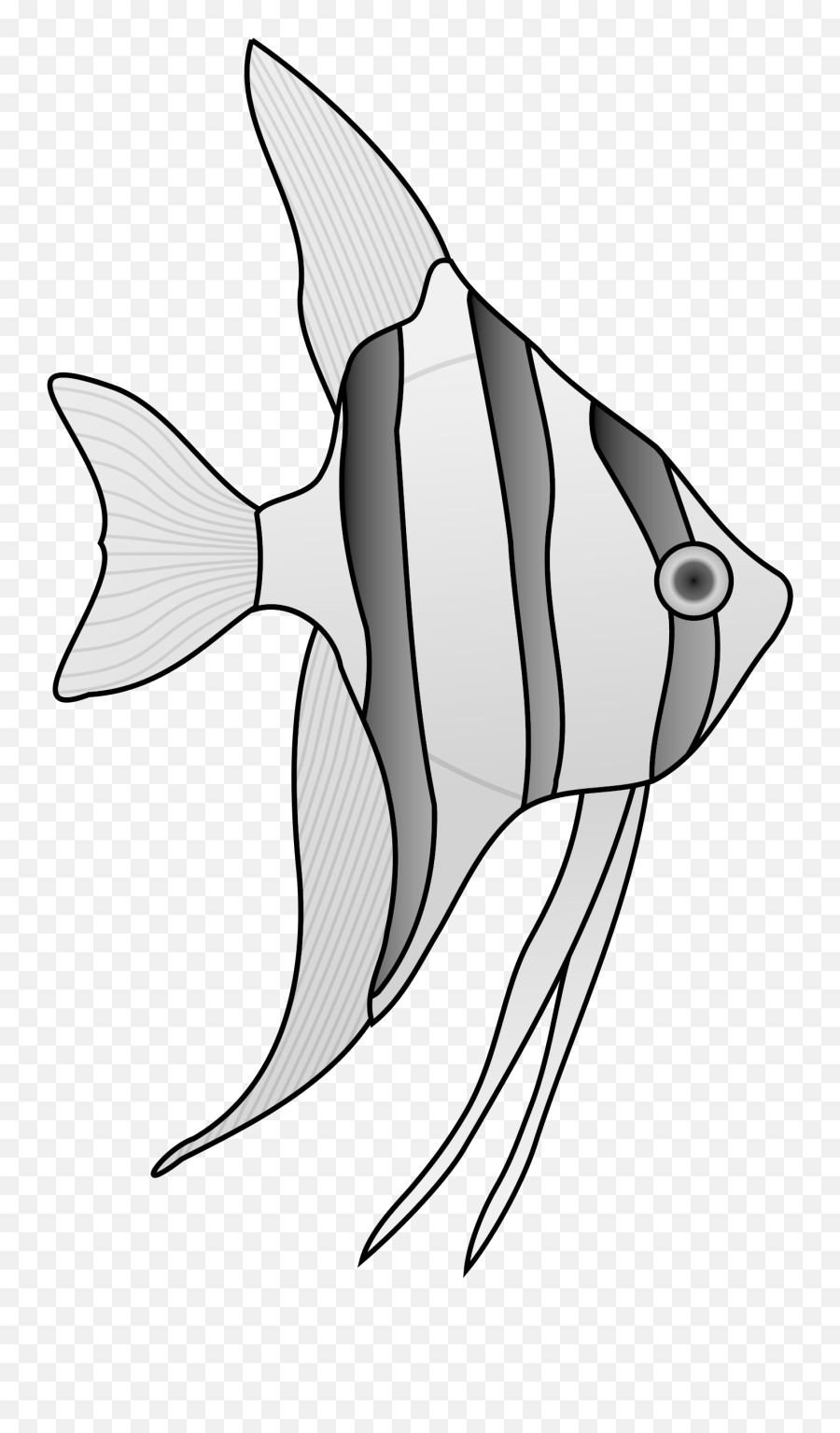 Sfcp32 Striped Fish Clipart Png Big Pictures Hd 4570book - Draw An Angel Fish,Fish Outline Png