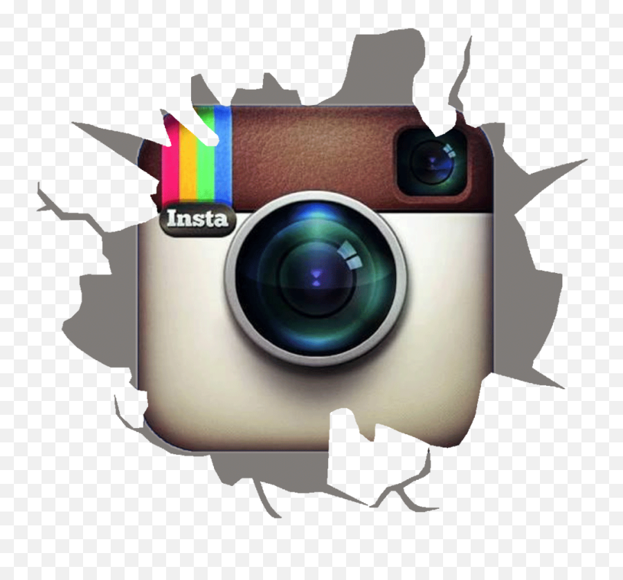 Msds Tick Me Off Maine - Natural Tick Repellent Transparent Cool Instagram Logo Png,Ig Png