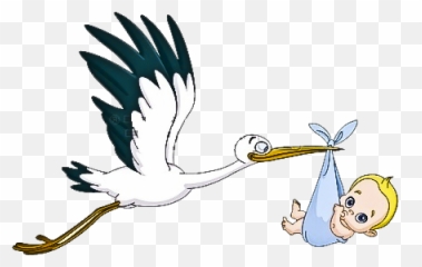 Stork Transparent U0026 Png Clipart Free Download - Ywd,Stork Png