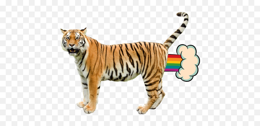 Nyan Cat Updrade - Uncle Grandpa Giant Realistic Flying Tiger Png,Nyan Cat Transparent
