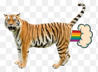 Nyan Cat Updrade - Uncle Grandpa Giant Realistic Flying Tiger Png,Nyan Cat Transparent