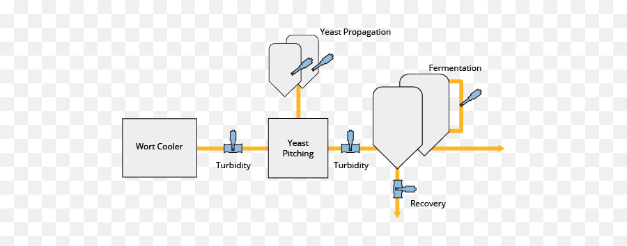 Brewing Yeast Management Pitching Fermentation Recovery - Yeast Management Png,Yeast Png