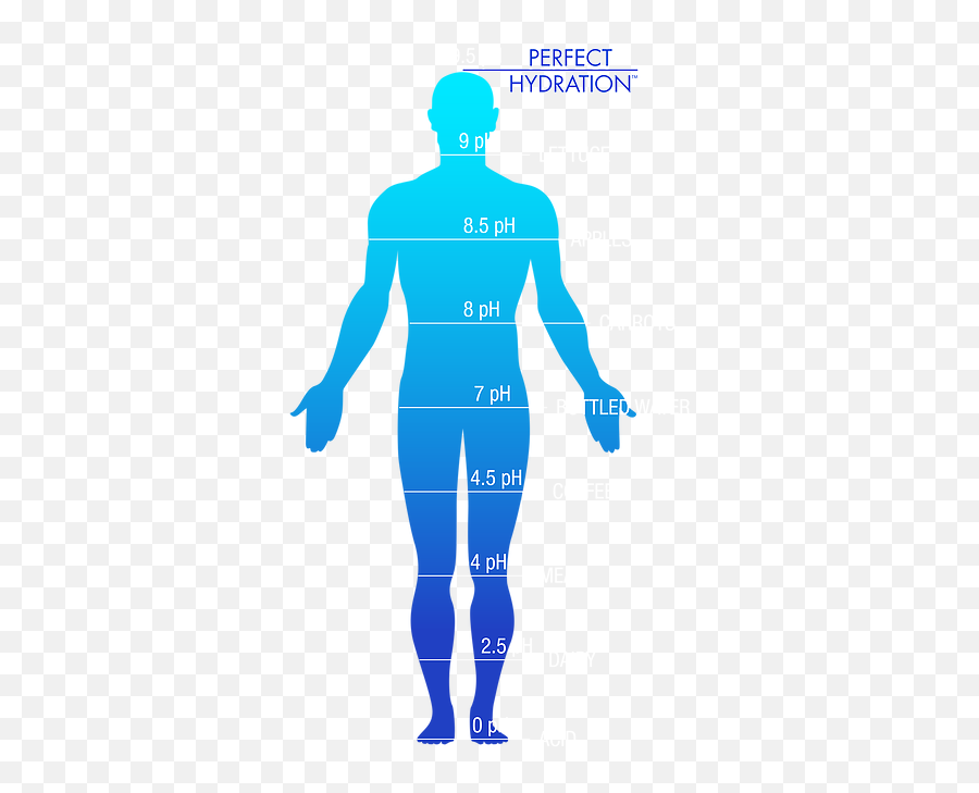 Water In Human Body Png Image - Standing,Human Body Png