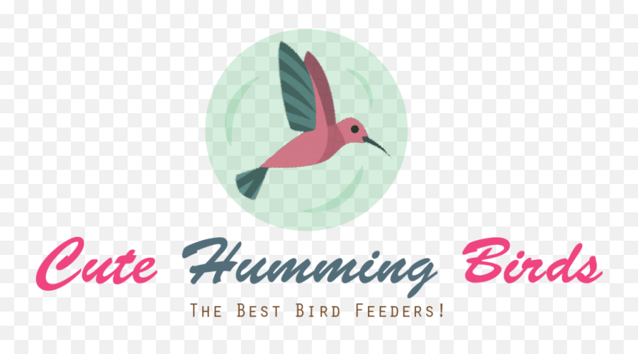 How To Attract Humming Birds - Cute Humming Birds Coraciiformes Png,Hummingbird Transparent Background