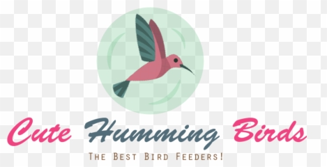 How To Attract Humming Birds - Cute Coraciiformes png
