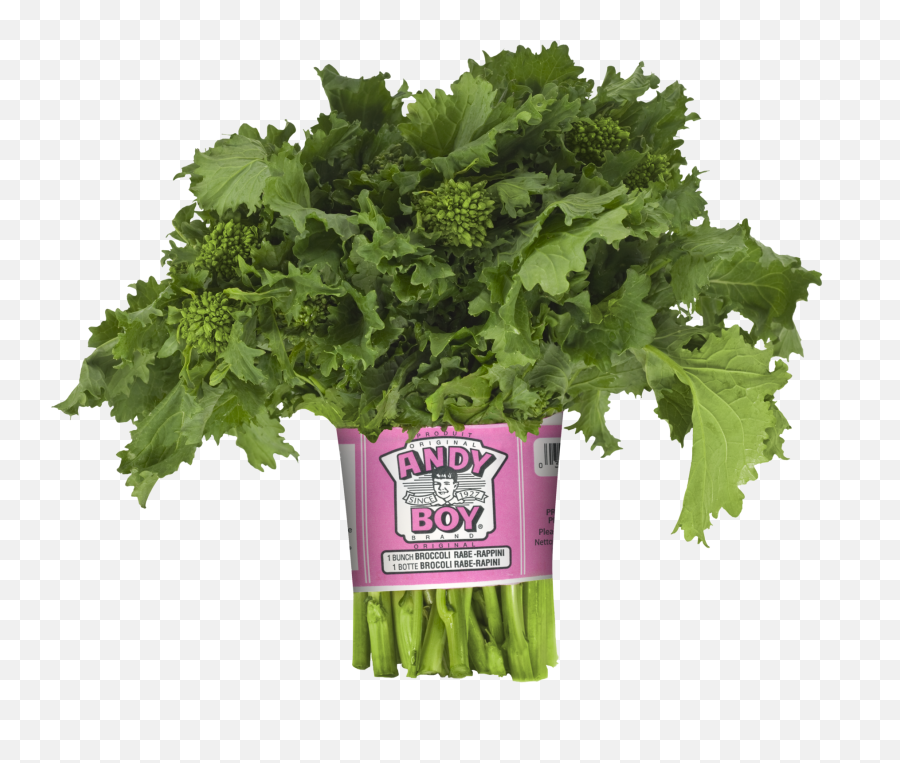 Download Andy Boy Broccoli Rabe Hd Png - Uokplrs Andy Boy Vegetables,Brocoli Png