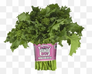 Download Andy Boy Broccoli Rabe Hd Png - Uokplrs Andy Boy Vegetables,Brocoli Png