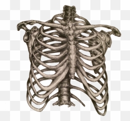 null Transparent PNG