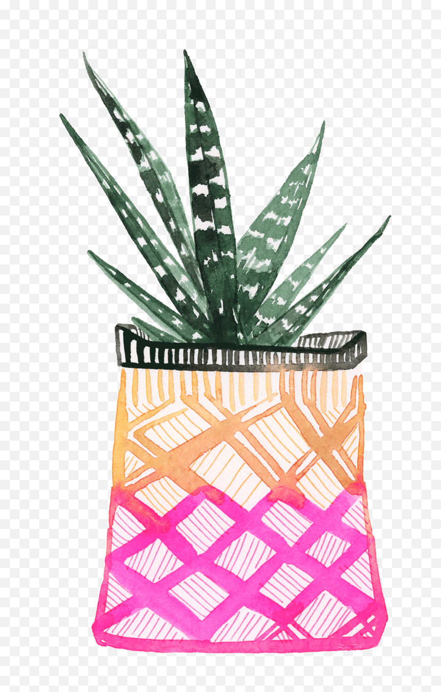 Download Planters - Thumbnail Full Size Png Image Pngkit Agave,Planters Png