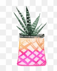 Download Planters - Thumbnail Full Size Png Image Pngkit Agave,Planters Png
