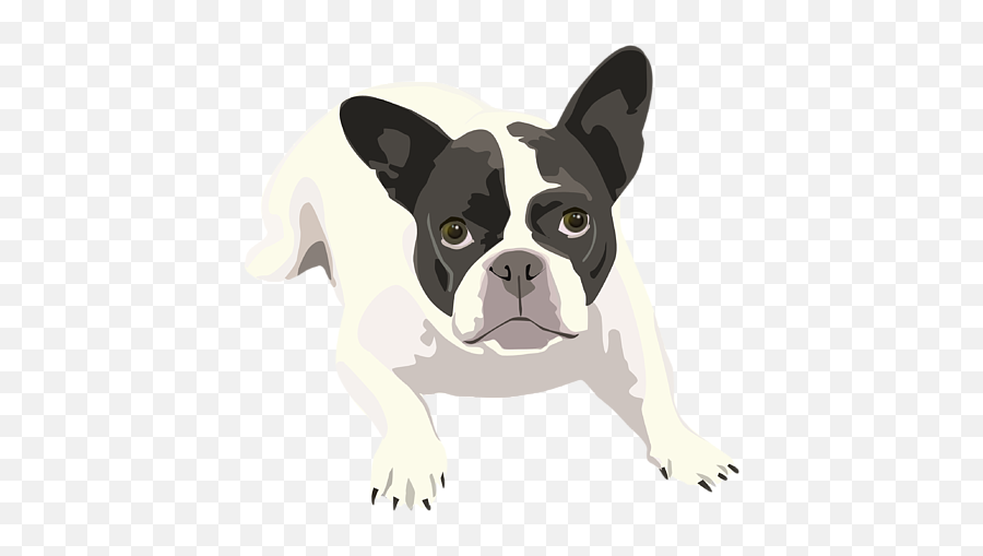 Black And White French Bulldog - Vector Art Portrait Tshirt Black And White French Bulldog Png,Bull Dog Png