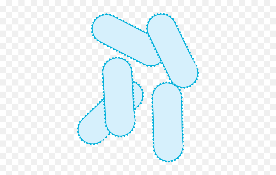 Download Bacteria Png Picture - Pill,Bacteria Png