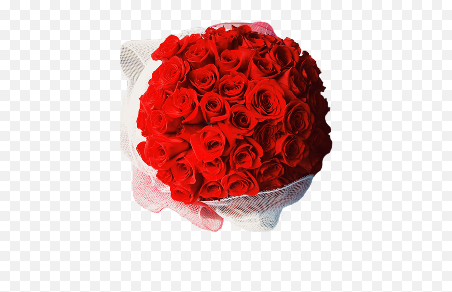 100 Rose Bouquet - Roses Buqet Transparent Png,Bouquet Of Roses Png