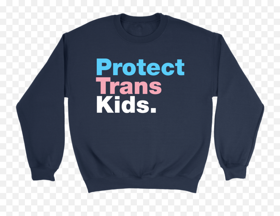 Protect Trans Kids Flag Hoodie U2013 Fishbiscuitdesigns - Greatest Hits Of The Png,Trans Flag Png