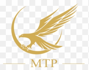 Download Hd Gold Eagle Wings Logo - Sitting Png