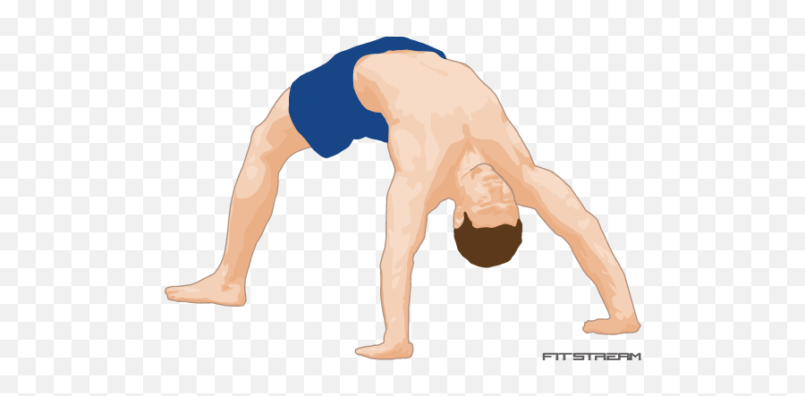 Bridge - Bodyweight Exercises Fitstream For Yoga Png,Exercise Png