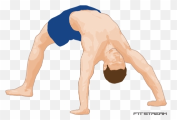 Bridge - Bodyweight Exercises Fitstream For Yoga Png,Exercise Png