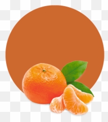 Mandarin Essential Oil - Manufacturer Supplier png