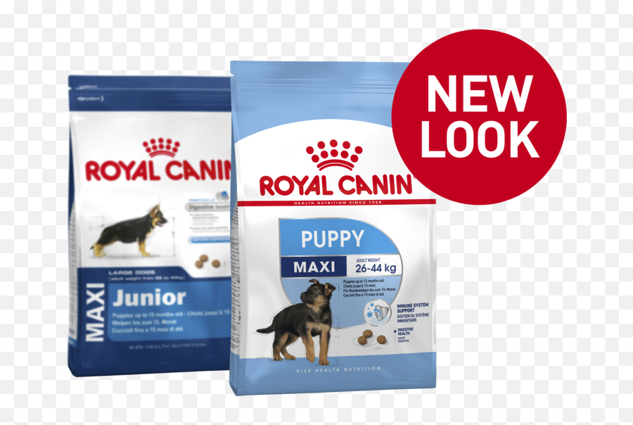 Royal Canin Maxi Puppy Dry Dog Food - Canin Maxi Junior 4kg Png,Dog Food Png - free transparent png images - pngaaa.com