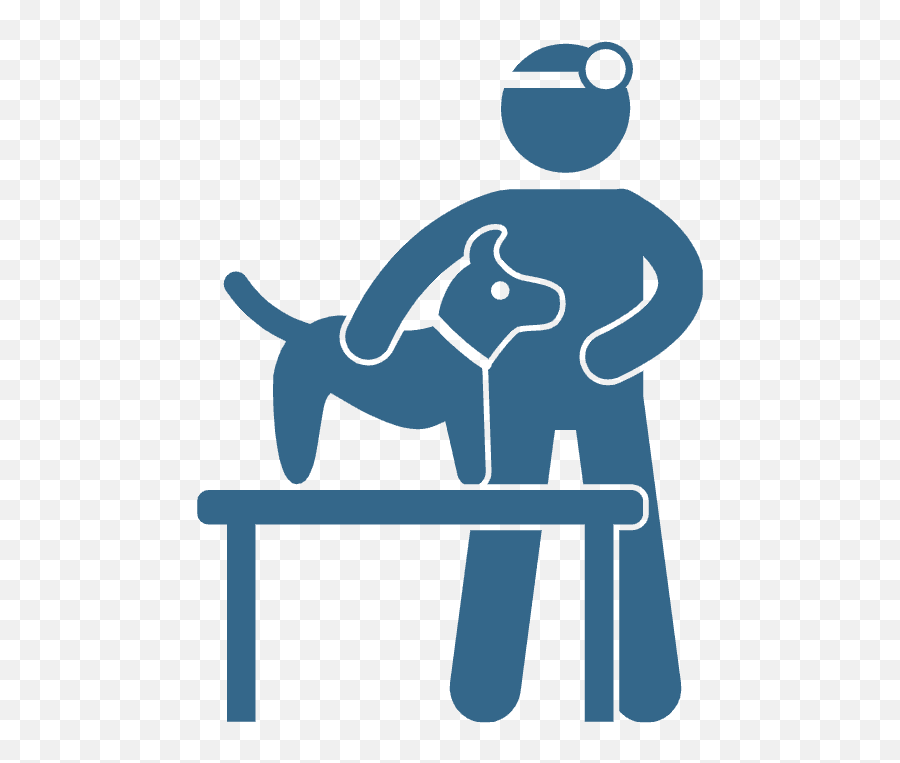 Veterinary Technician School Programs And Jobs - Pet Doctor Hurdle Png,Technician Icon Png