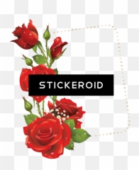 Download Hd Red Flower Frame Border Frames Transparent Png - Imagem De Rosas Png
