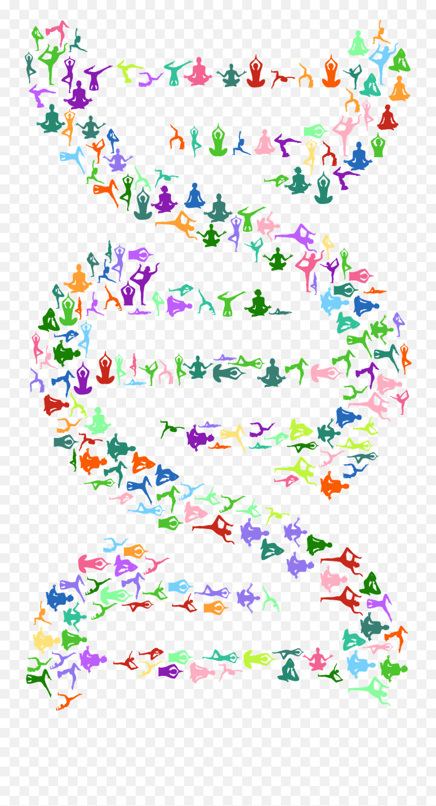 Dna Helix Yoga Transparent Png - Stickpng Yoga Dna,Dna Sillhouette Icon Png