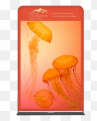 Ez Extend Displays - CustomCoastersNowCom Jellyfish png